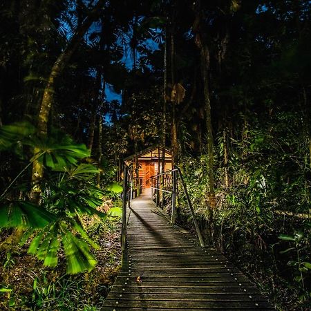 Daintree Wilderness Lodge Exterior foto