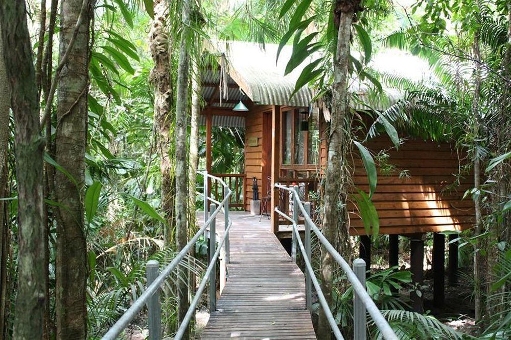 Daintree Wilderness Lodge Exterior foto