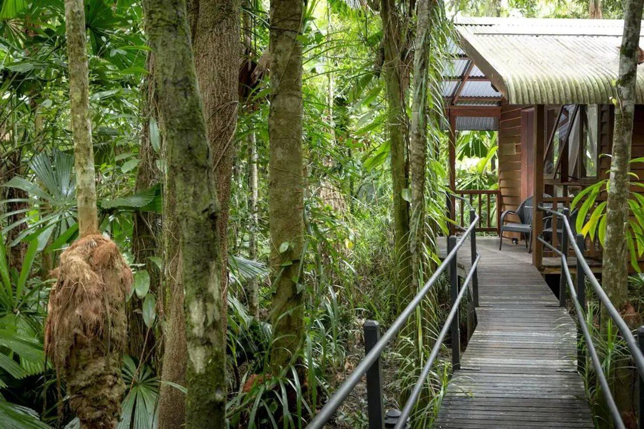 Daintree Wilderness Lodge Exterior foto