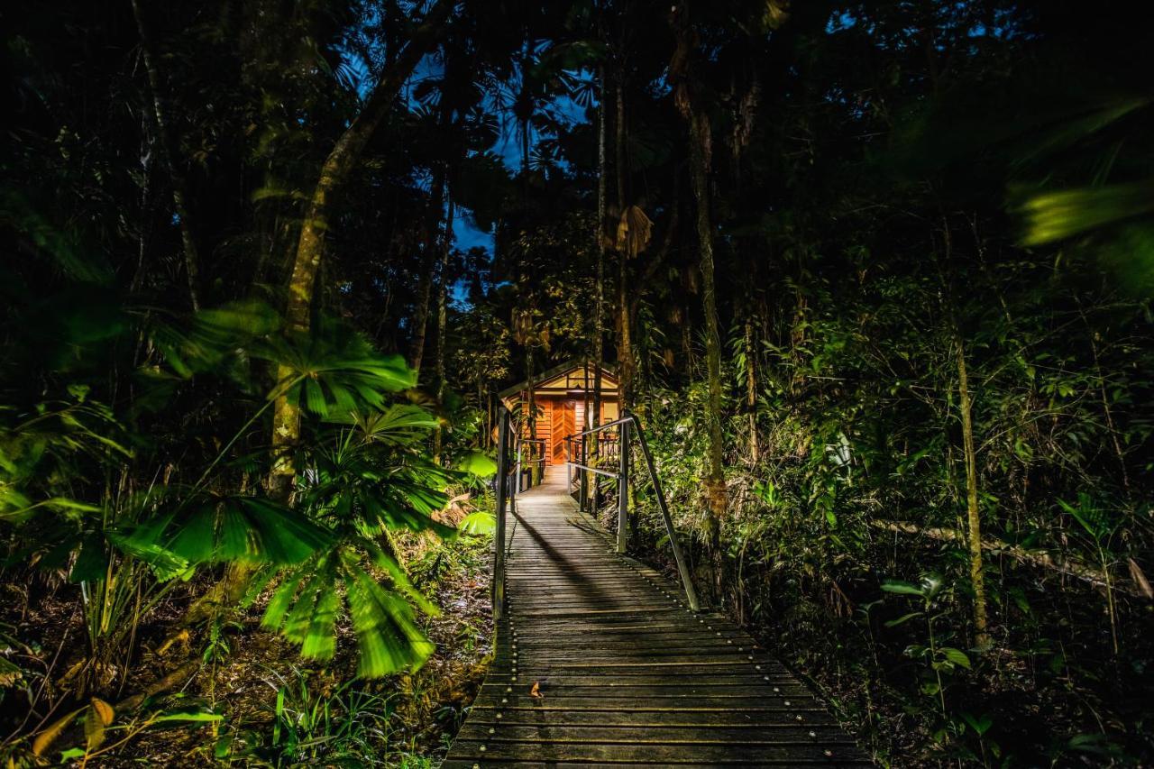 Daintree Wilderness Lodge Exterior foto