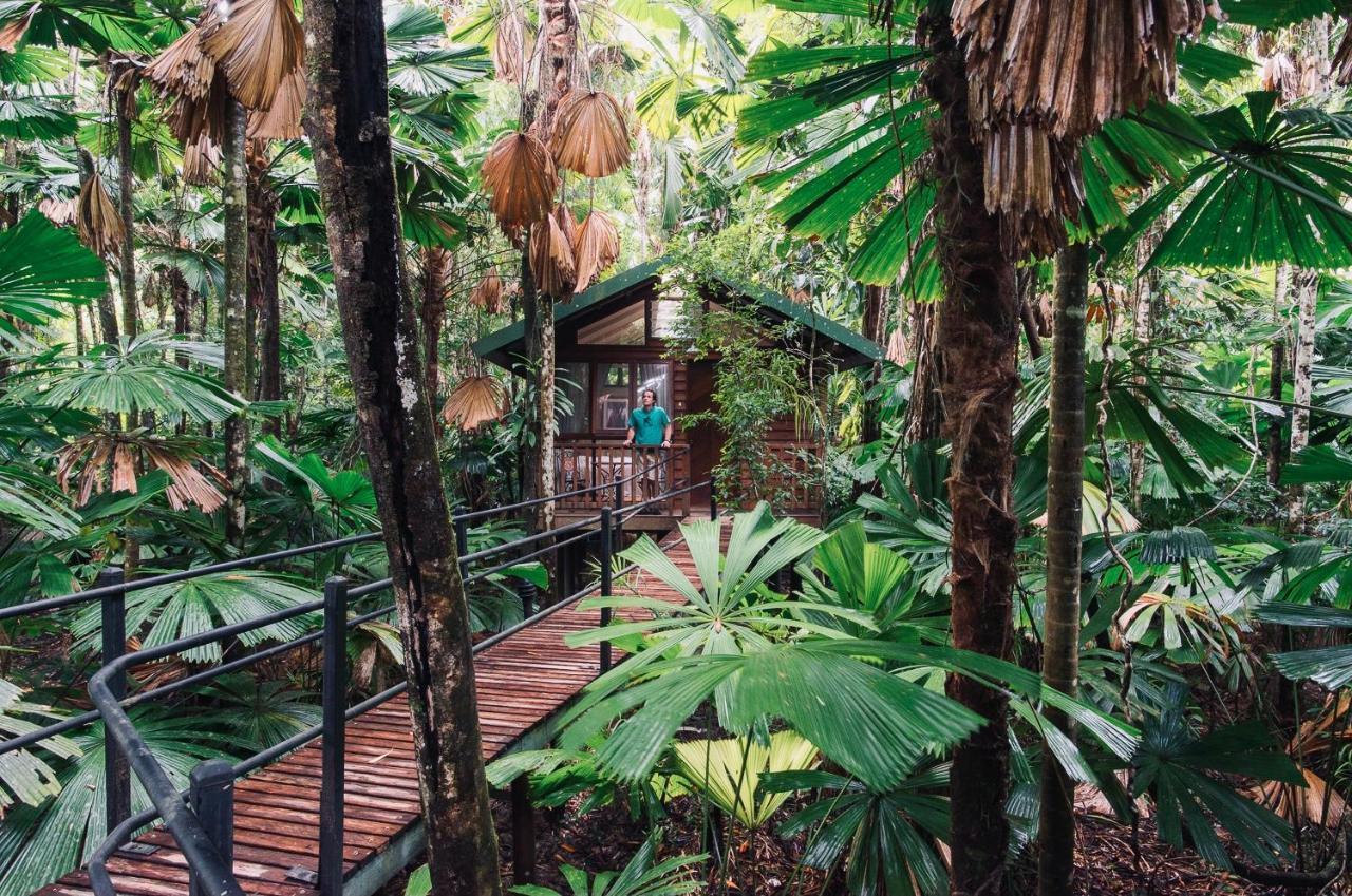 Daintree Wilderness Lodge Exterior foto