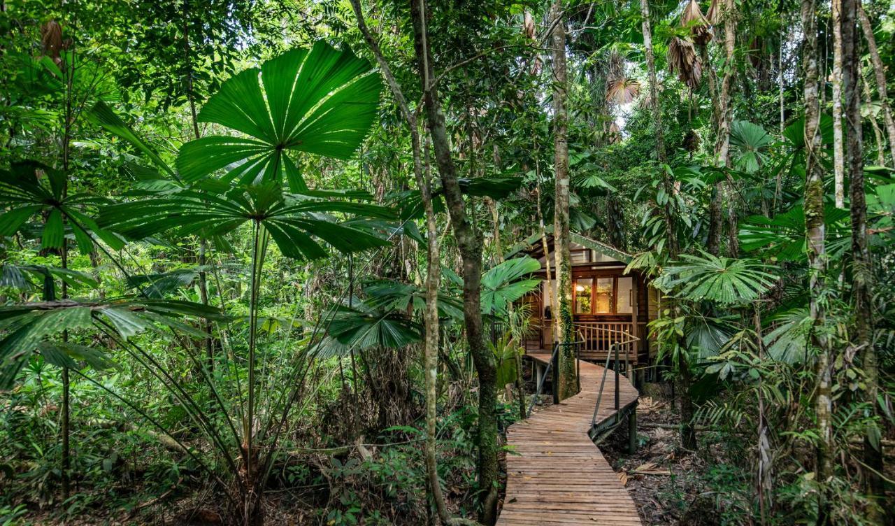 Daintree Wilderness Lodge Exterior foto