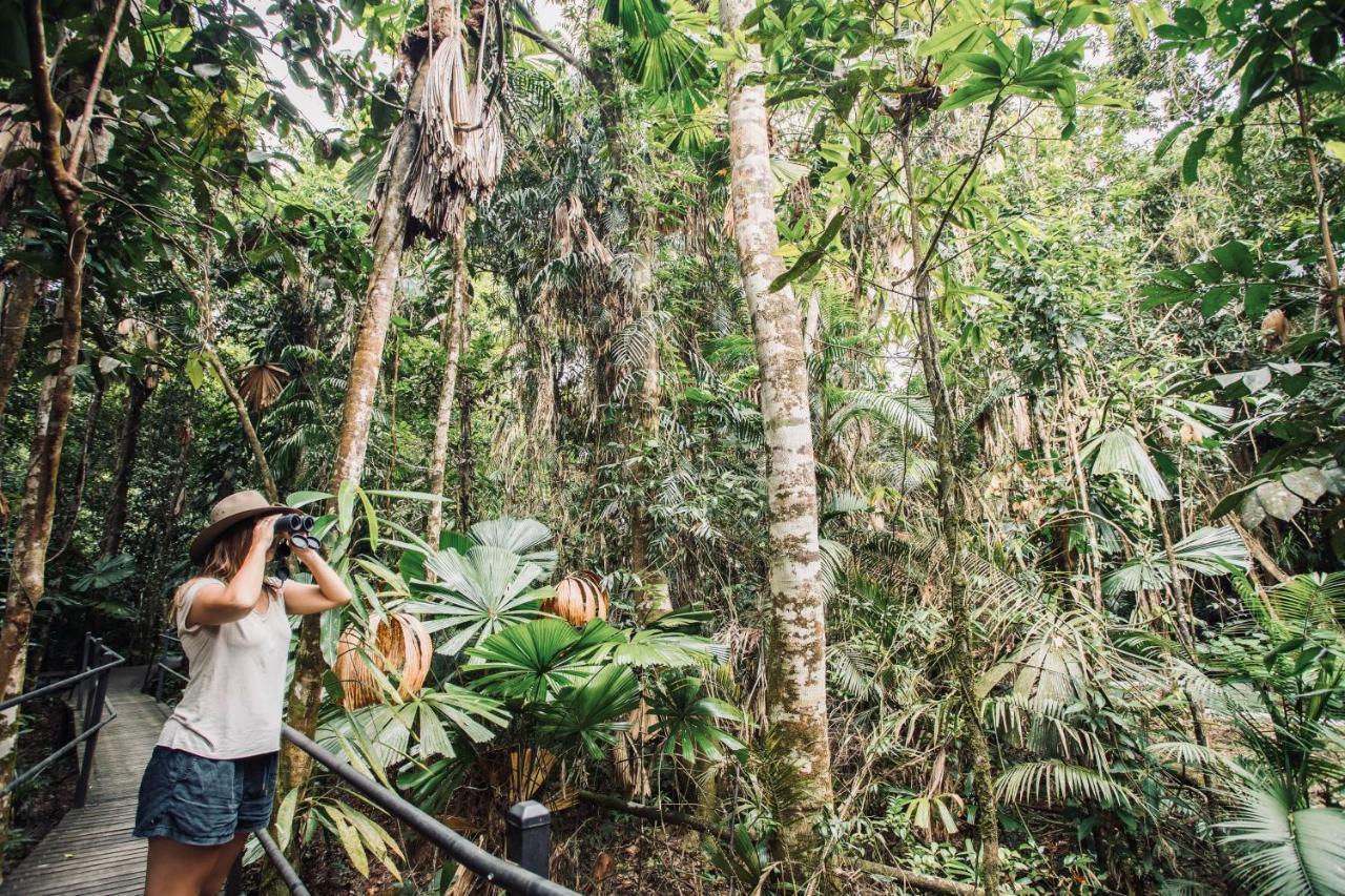 Daintree Wilderness Lodge Exterior foto