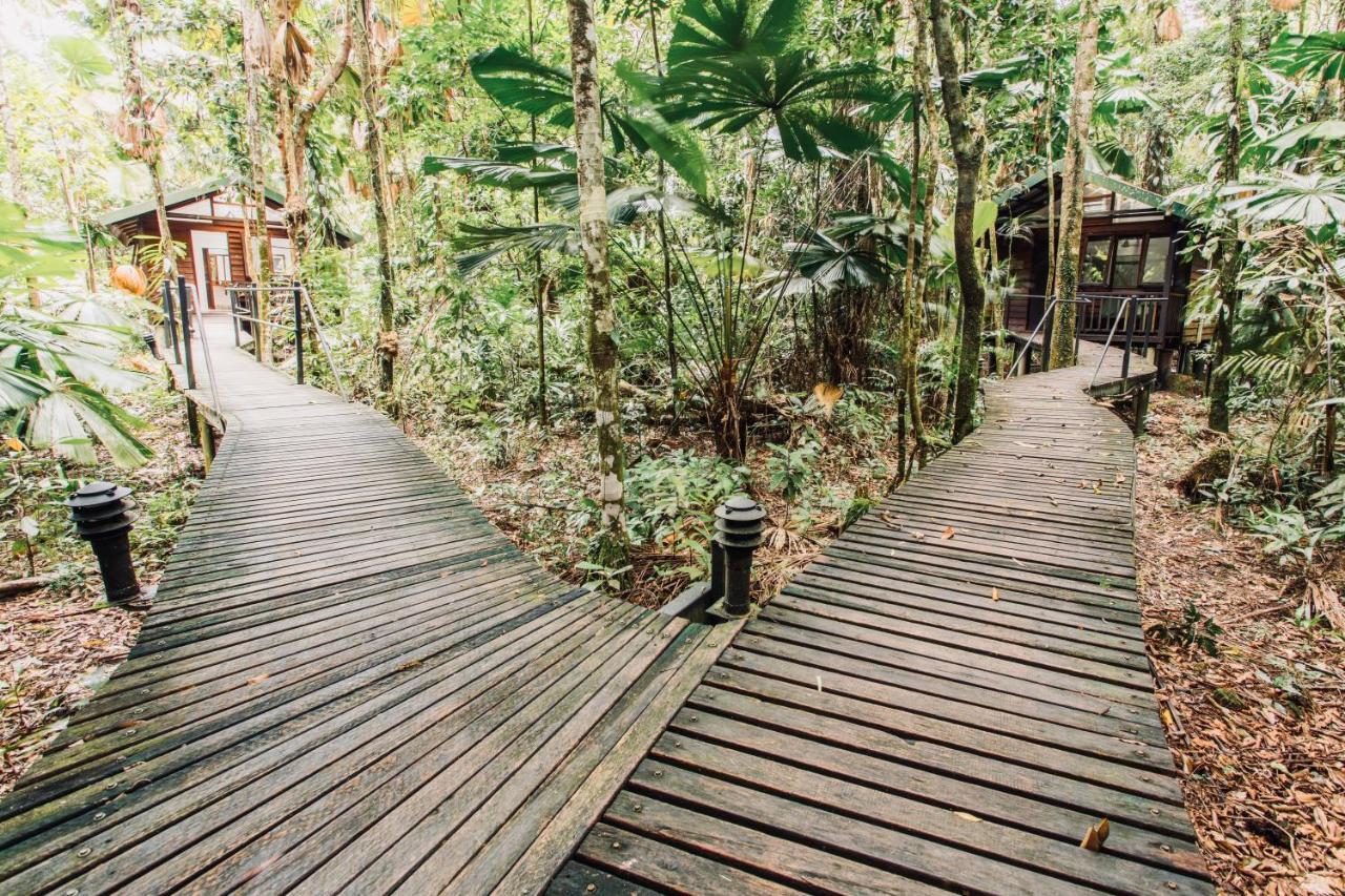 Daintree Wilderness Lodge Exterior foto