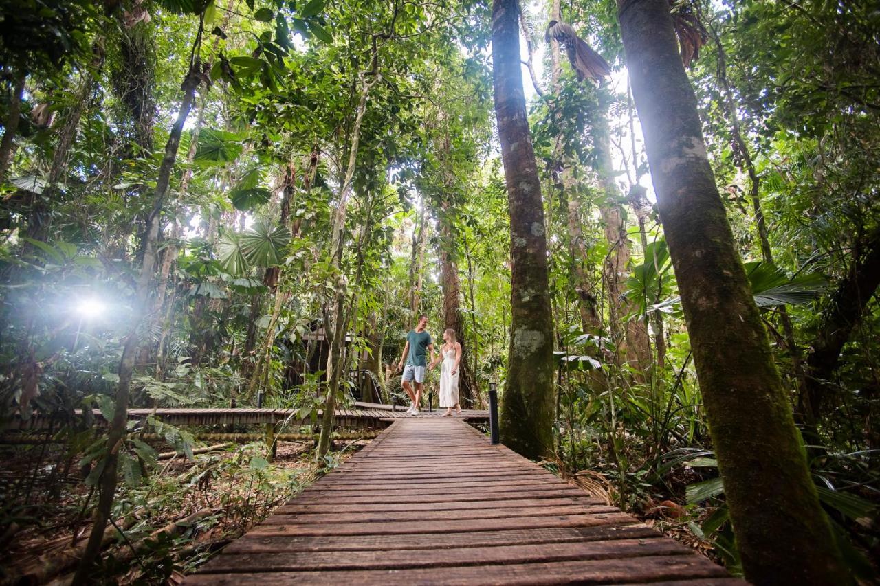 Daintree Wilderness Lodge Exterior foto