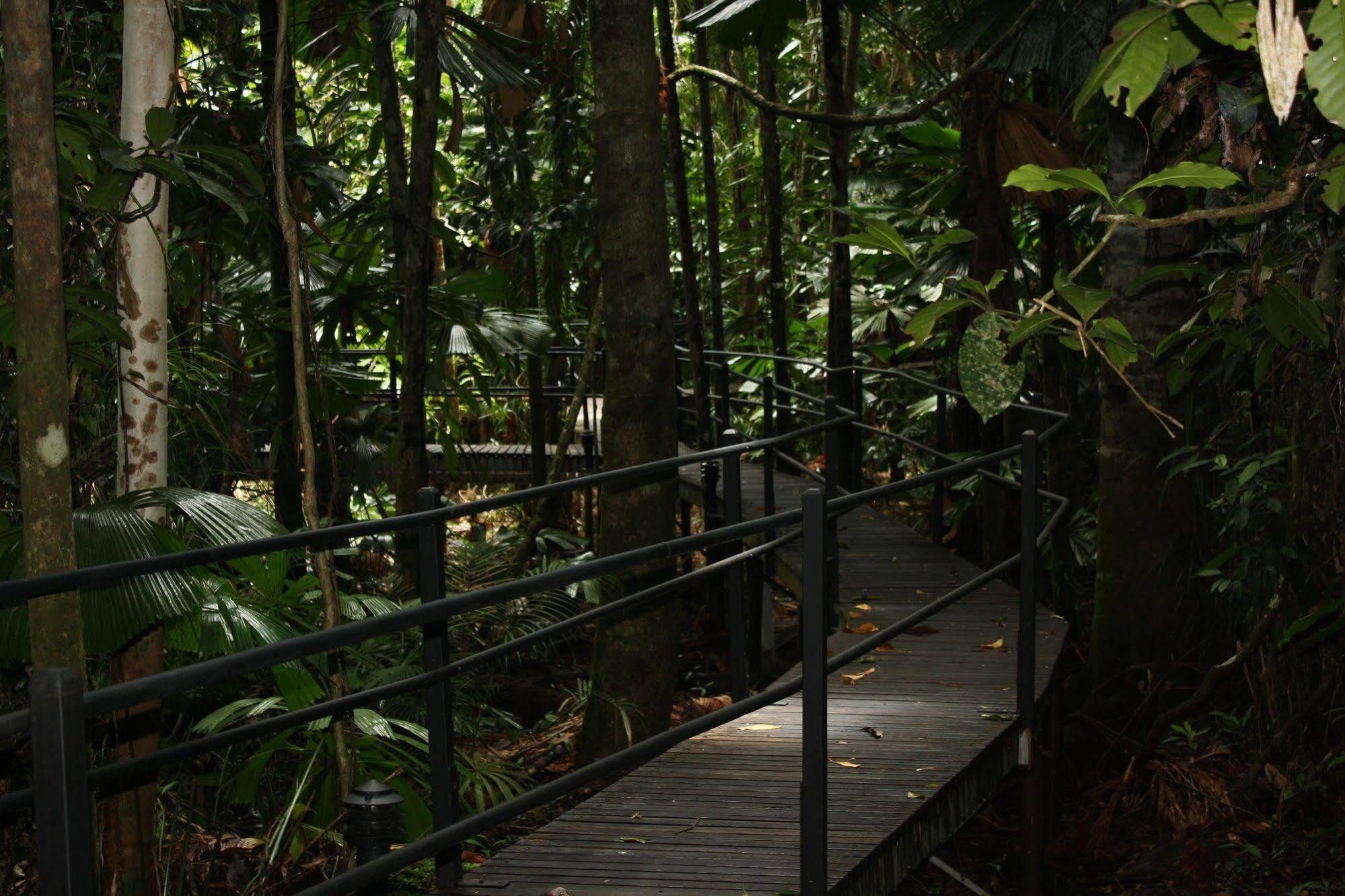 Daintree Wilderness Lodge Exterior foto