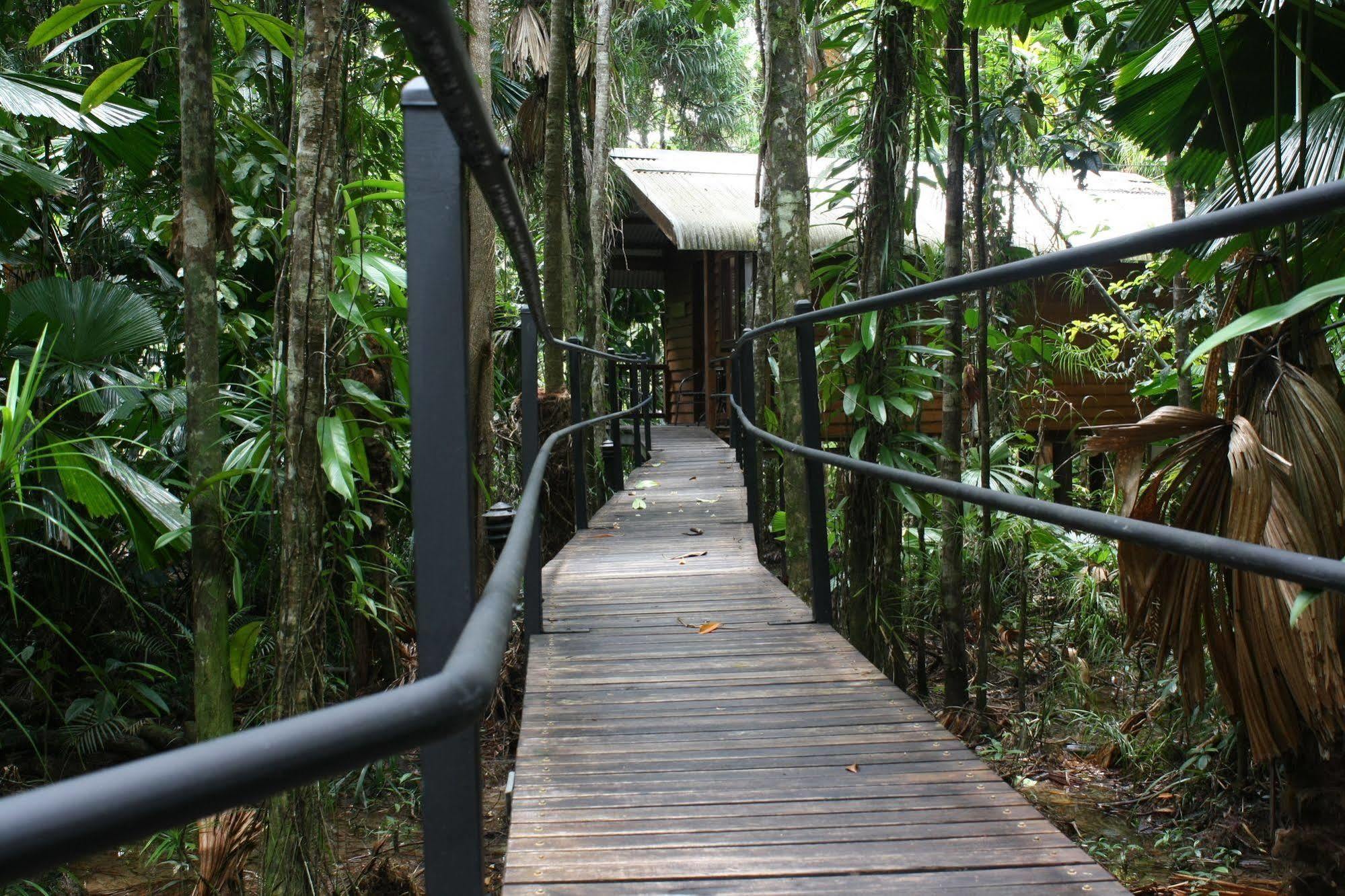 Daintree Wilderness Lodge Exterior foto