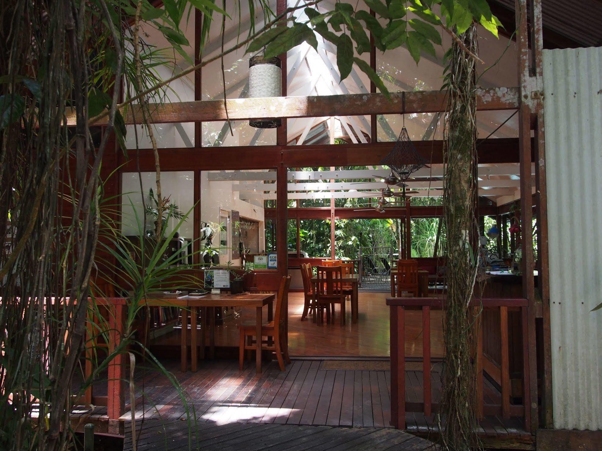 Daintree Wilderness Lodge Exterior foto