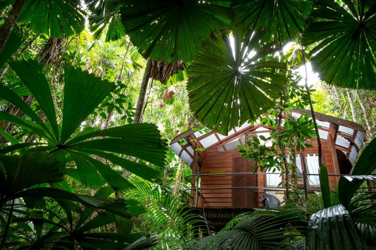 Daintree Wilderness Lodge Exterior foto